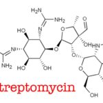 1943 Streptomycin Discovered