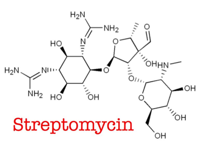 1943 Streptomycin Discovered